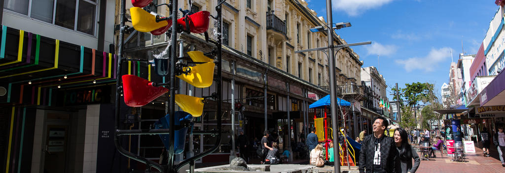 Roam the streets of Wellington, shopping up a storm.