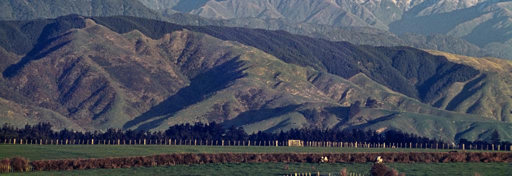 从莱文（Levin）眺望塔拉鲁瓦山脉（Tararua Ranges）