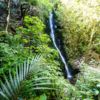 Percy Scenic Reserve, Lower Hutt