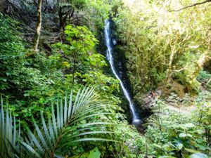 Percy Scenic Reserve, Lower Hutt