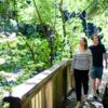 Percy Scenic Reserve, Lower Hutt