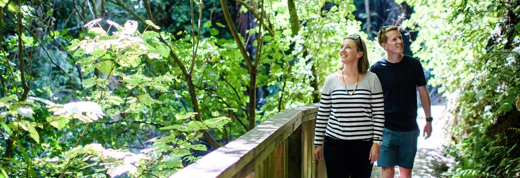 Percy Scenic Reserve, Lower Hutt