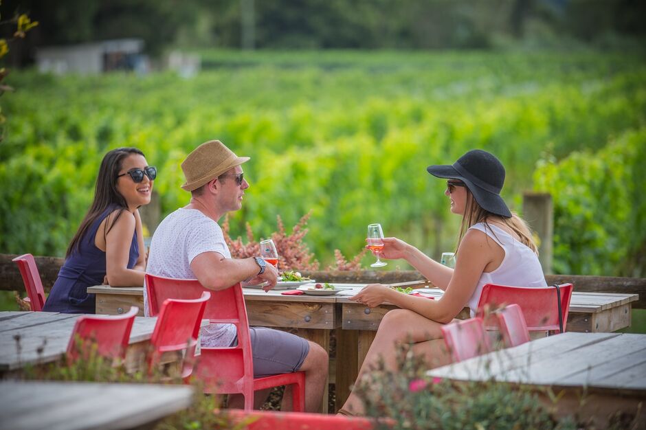 Vineyard in Martinborough