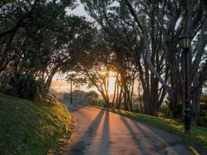 Botanical Gardens Walk