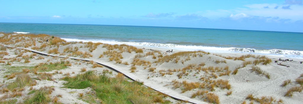 Beach and Grass at Ship Creek, Jackson Bay, NZ