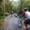 Riding the Franz Josef Glacier Track