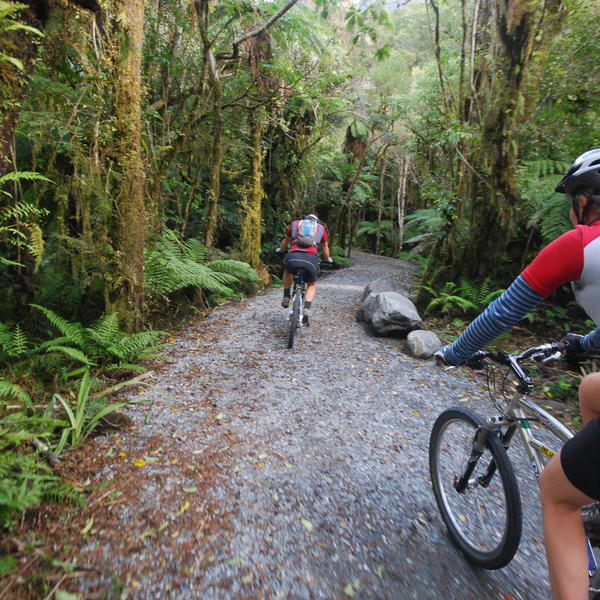 Riding the Franz Josef Glacier Track