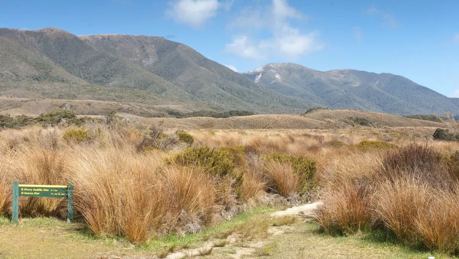 This ancient Maori trail crosses over tussock downs to lush forests, through Nikau palms and onward to the roaring seas of the West Coast.