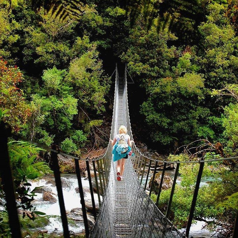 Hiking the Copland Track, near Fox Glacier