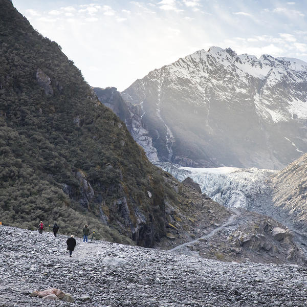 Fox Glacier/Te O Tuawe Valley Walk