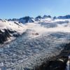 Fox Glacier