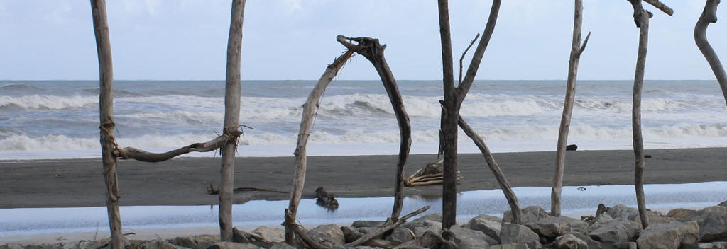 Hokitika beach is typical of the South Island's wild West Coast