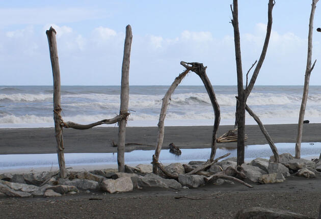 Der historische Ort Hokitika bietet faszinierende Einblicke in die Geschichte der West Coast. Hier erfährst du alles über die Schiffswracks, Goldgräber und Pounamu-Jäger, die einst in dieser atemberaubenden Küstengegend lebten.