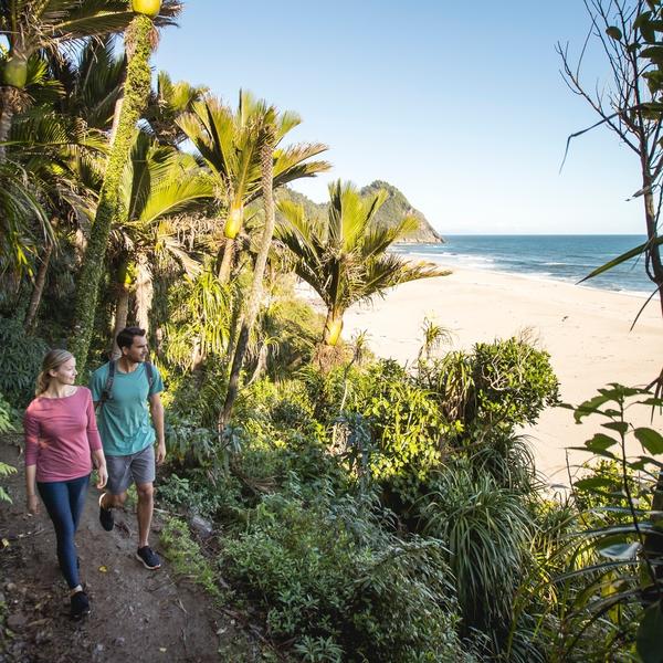 Heaphy Track