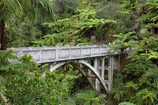 Bridge To Nowhere Whanganui New Zealand