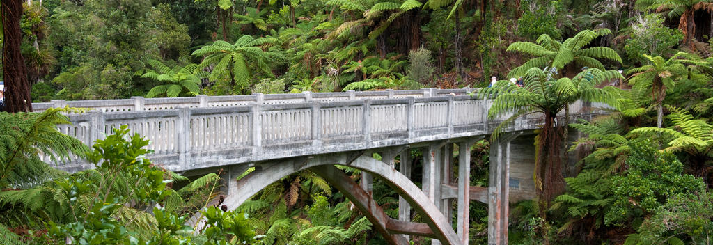 Discover the mysterious Bridge to Nowhere in Whanganui National Park