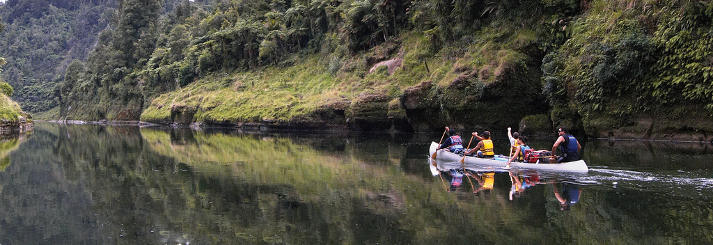 Canoeing safari on the Whanganui River