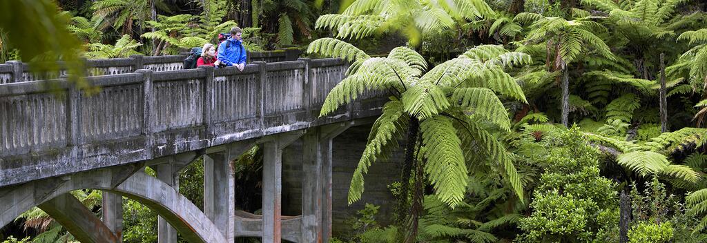 Bridge to Nowhere, Whanganui River