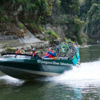 Every day is different on the Mountains to Sea cycle trail, which crosses two National Parks and the Whanganui River.