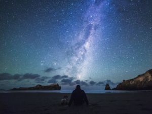 Stargazing in Castlepoint