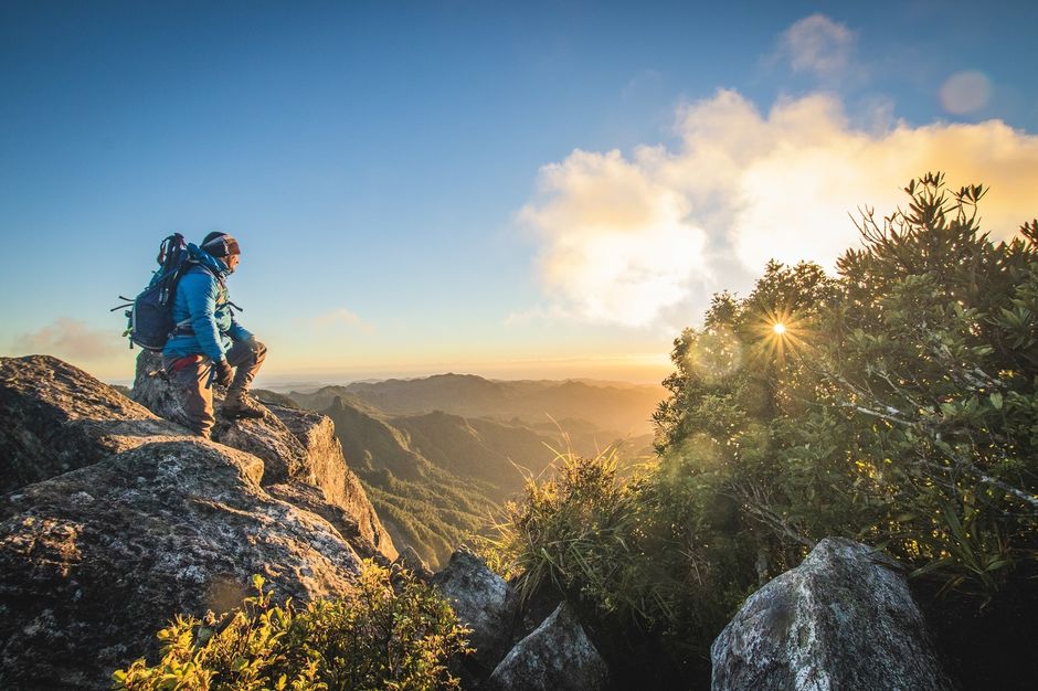 Pinnacles - The Coromandel 