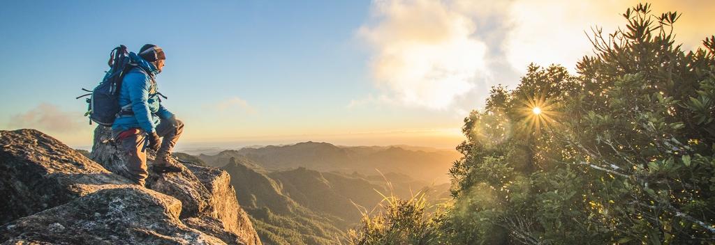 Pinnacles - The Coromandel 