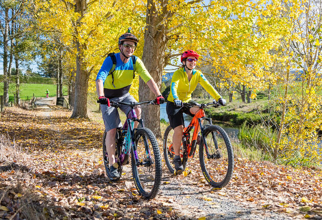 The Hauraki Rail Trail is one of the easiest Great Rides and e-bike friendly. Ride along the trail and you will find Hobbiton Movie Set, hot pools, waterfalls, gold mining history and other attractions. 