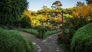 hobbiton cutting