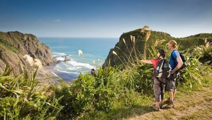 half day tours auckland new zealand