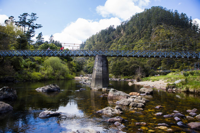 hauraki cycle trail