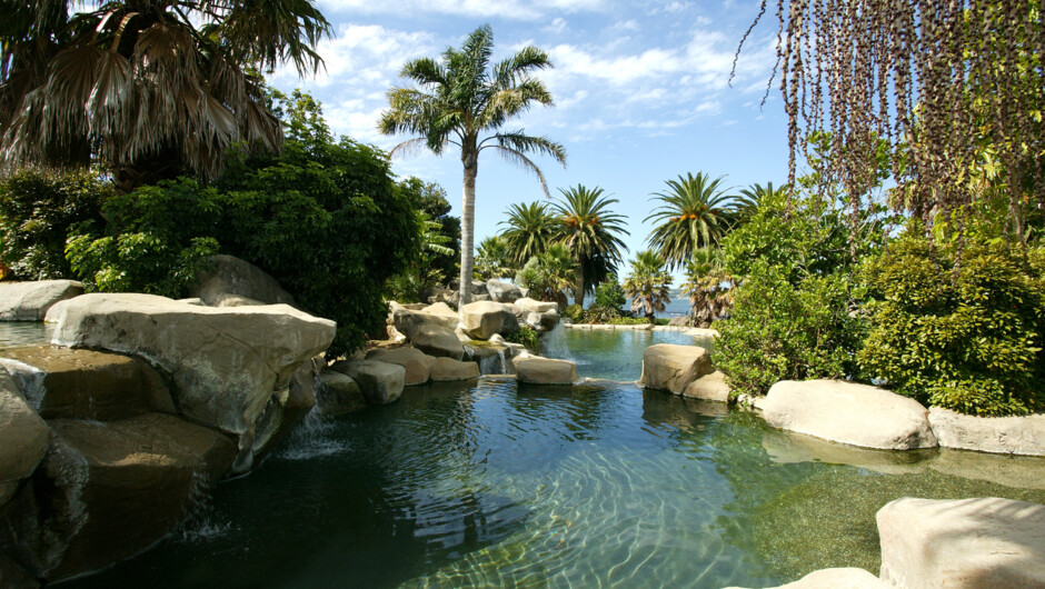 Hotel Pool