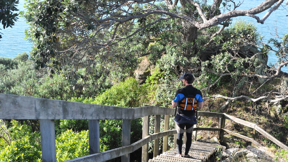 Walk from the summit of Browns Island.