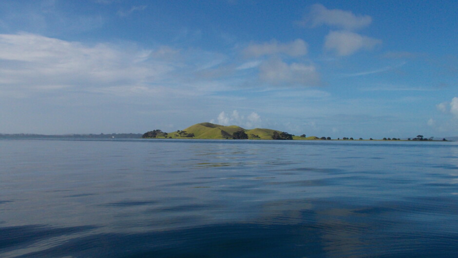 Beautiful Browns Island or Motukorea.