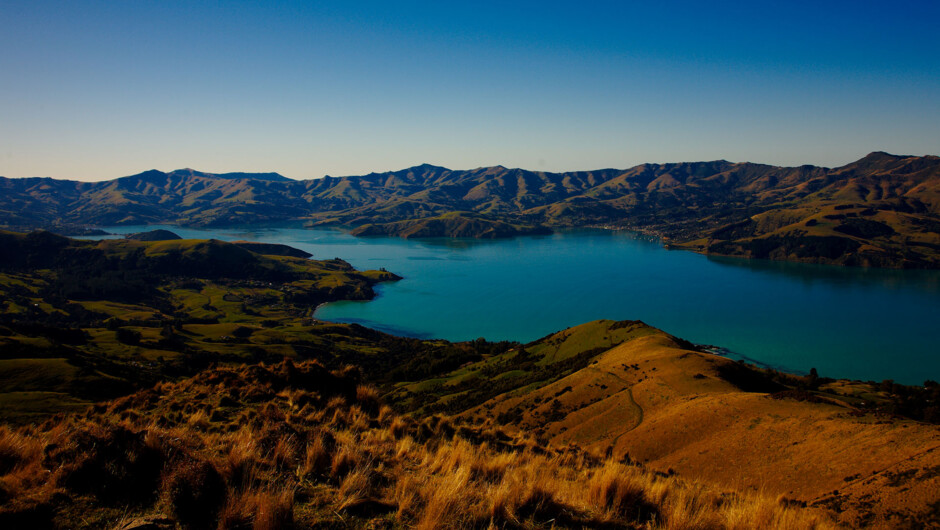 Akaroa Harbour from the Southern side above Wainui.