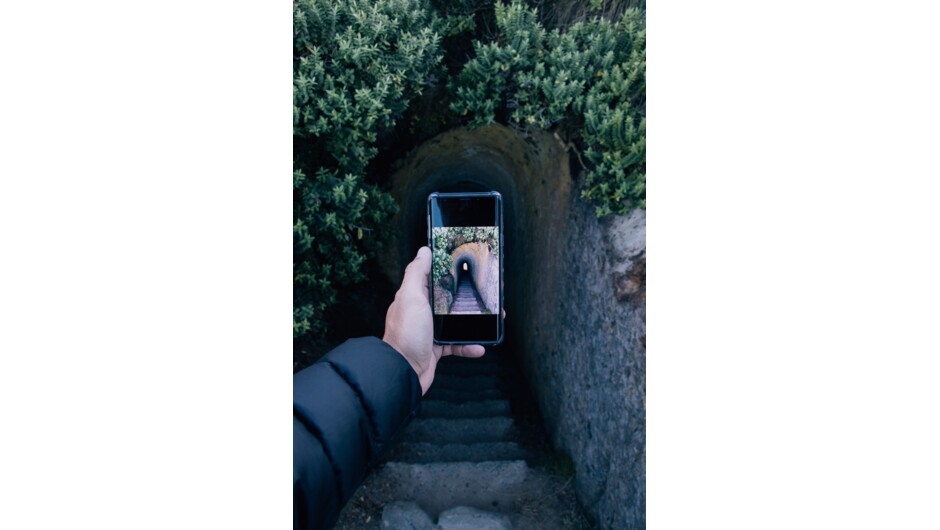 Best Western Dunedin Tunnel Beach