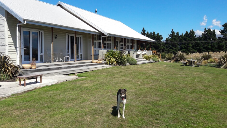 One of many Ashburton properties in the area.