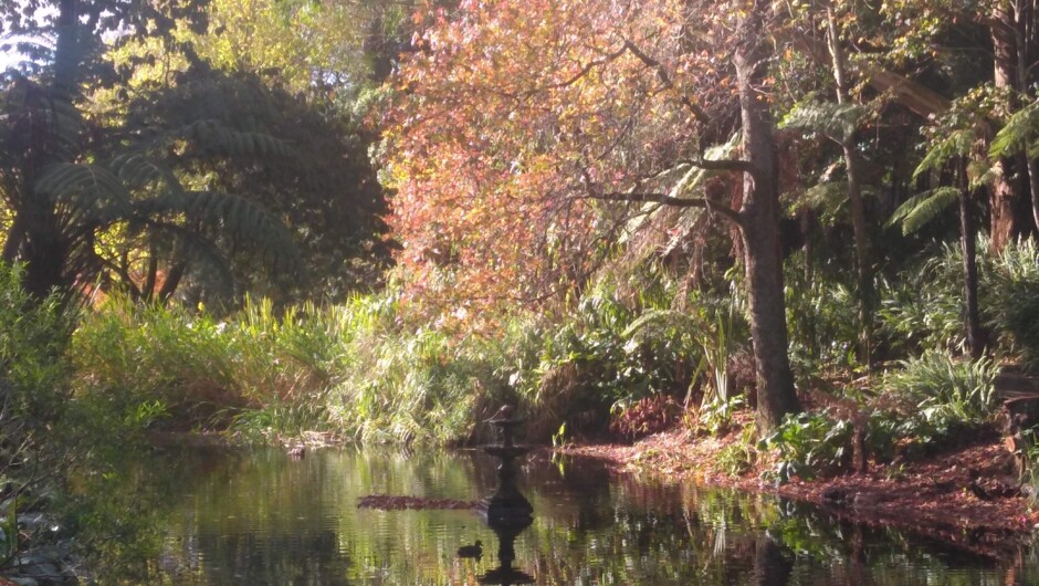 Autumn view of the pond below the cafe.