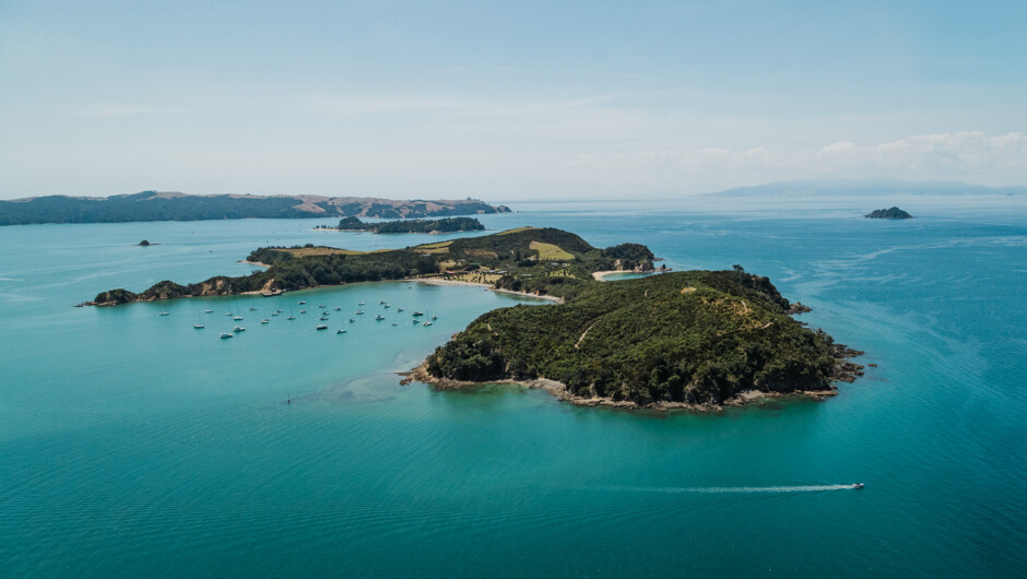 Rotoroa Island, predator free island sanctuary in Auckland's Hauraki Gulf