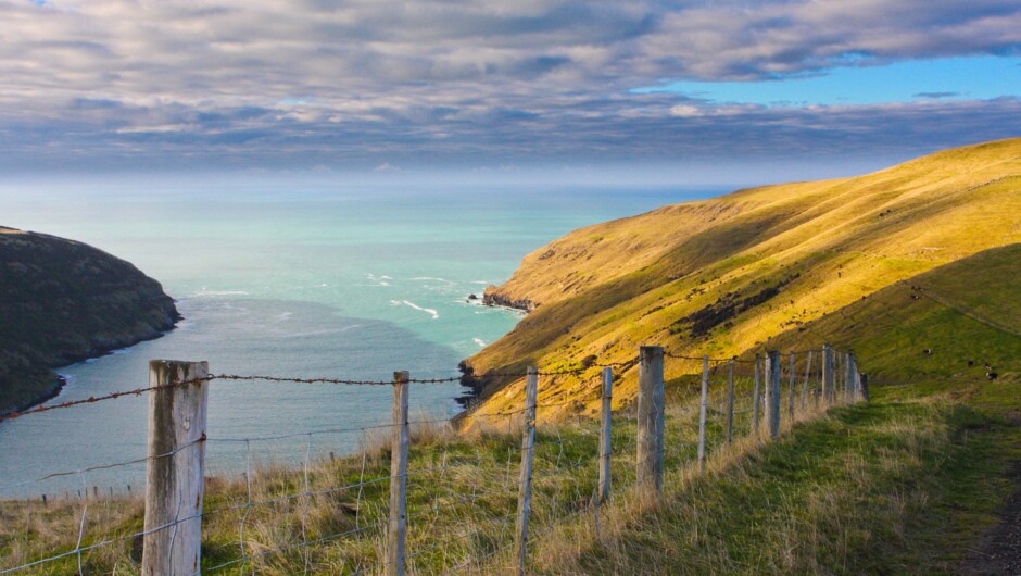 Pōhatu Marine Reserve view from the top