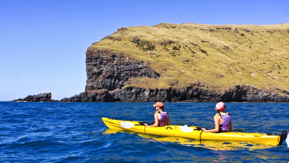 Kayakers looking around Pōhatu Marine Reserve