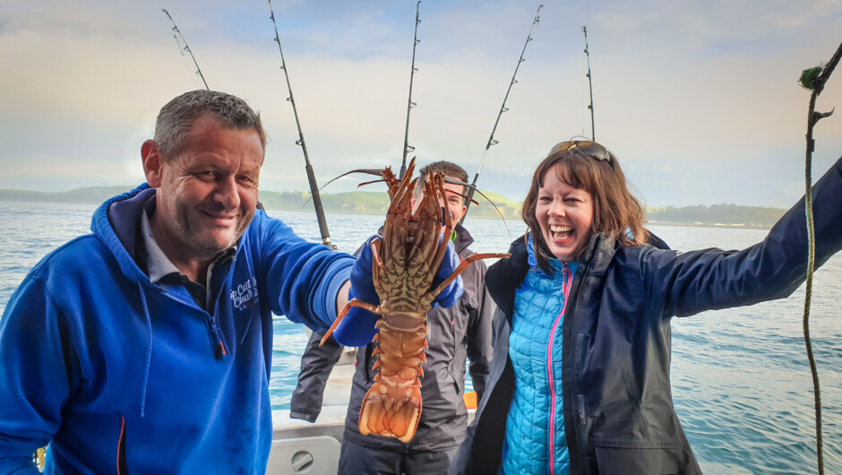 Successful haul from our Top Catch craypots in Kaikoura, New Zealand.