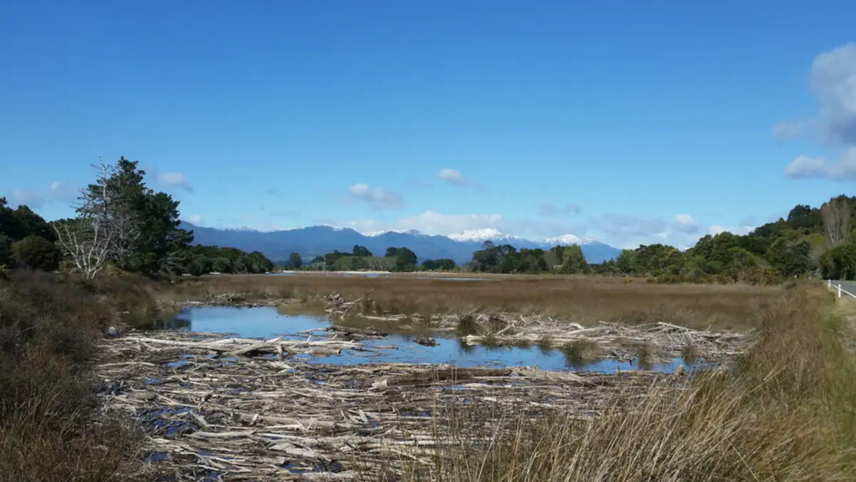 Waikato Inlet.