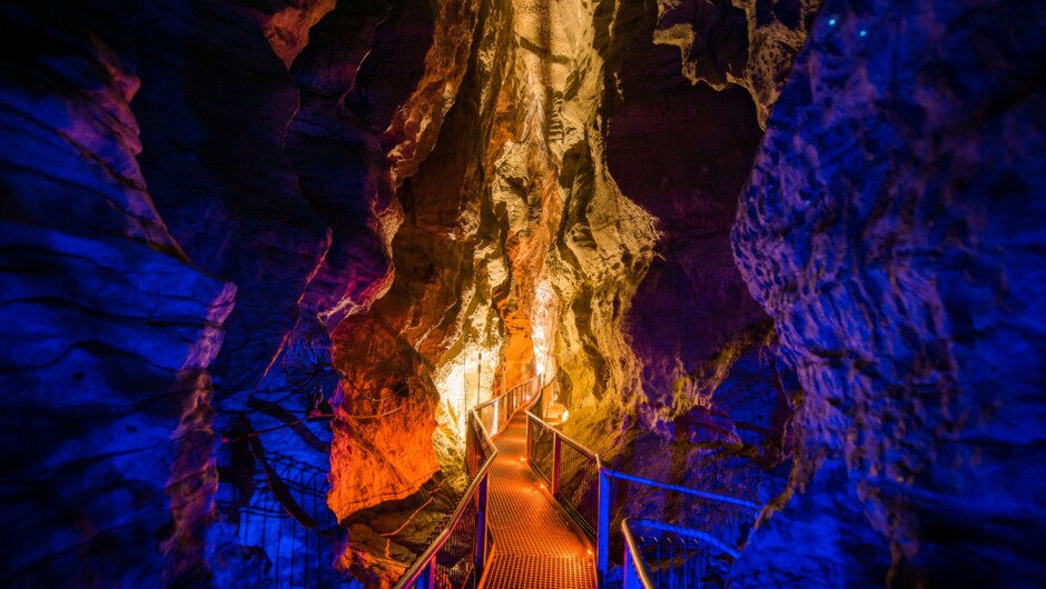 The track to follow through the amazing Ruakuri Cave.