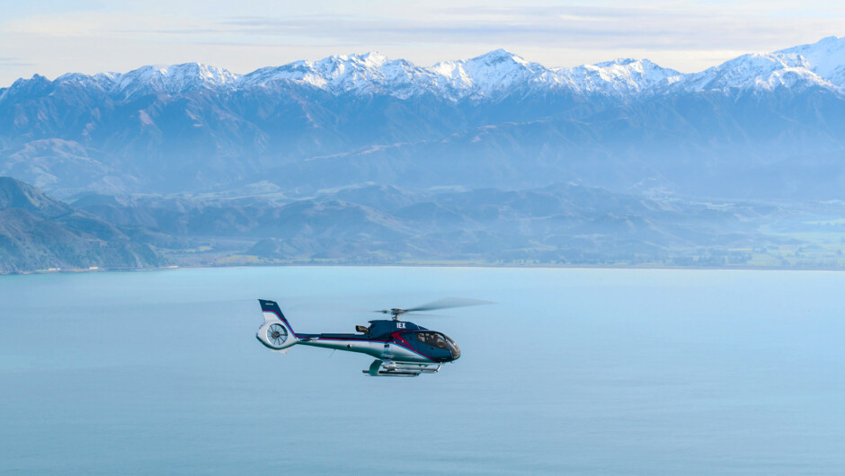 Kaikoura Helicopters Whale Watching Helicopter Flights