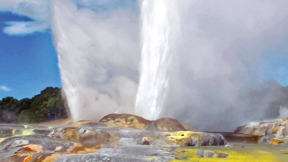 Rotorua Geyser