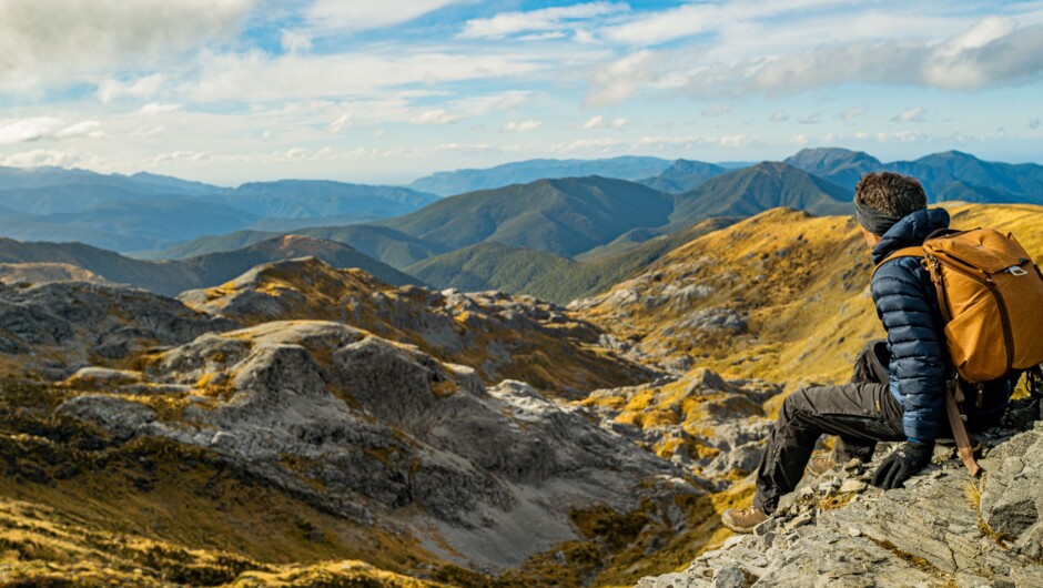 View from the summit of Mt Arthur