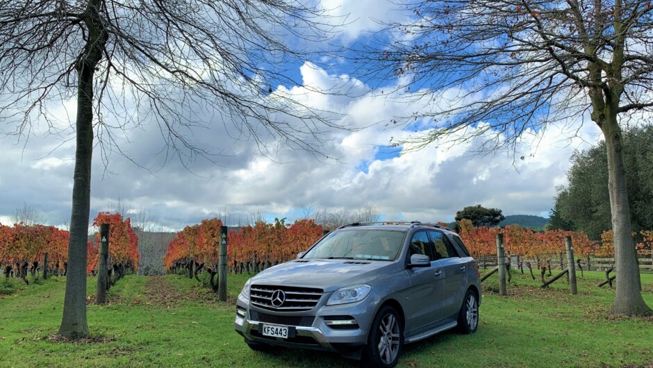 Luxury 5 seater SUV - Mercedes-Benz ML250