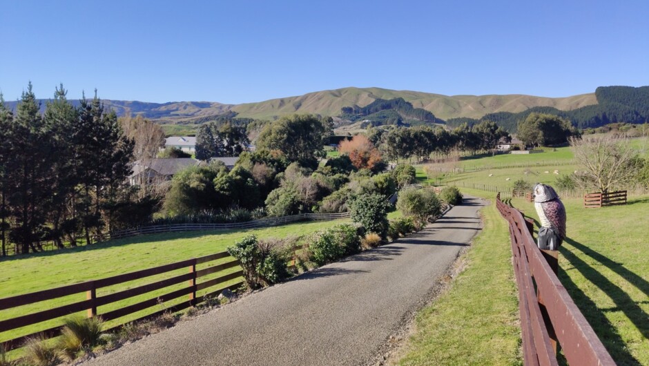 Landscapes on our Farm