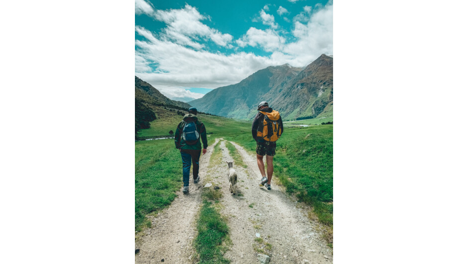 A stroll with the locals