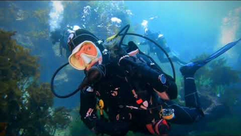 We offer trips throughout NZ, for example here up to the Poor Knights Islands Marine Reserve on a Liveaboard